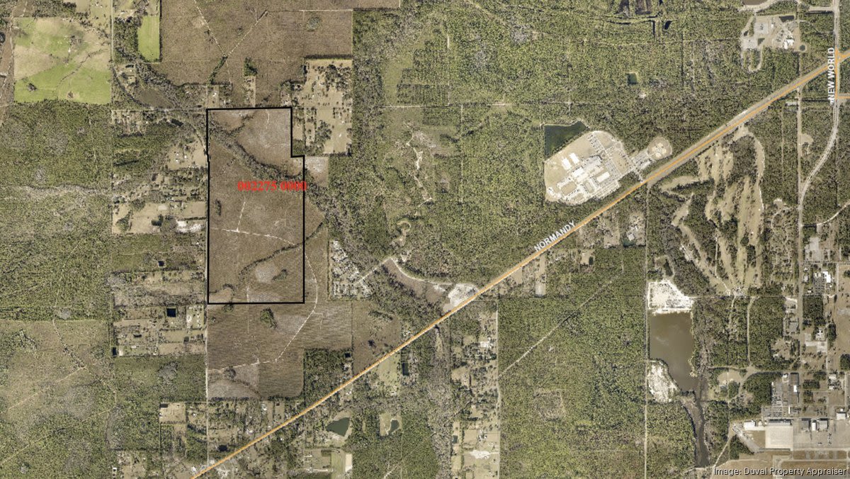 Daytona Beach developer buys hundreds of acres in Jax - Jacksonville Business Journal