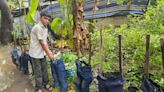 With discarded trousers and shirts as garden containers, 13-year-old from Karumalloor shows the way