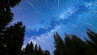 NASA tells Americans to flee cities during Perseid meteor shower