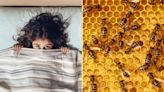 North Carolina child says she hears 'monsters' in the wall, turns out to be 50K buzzing bees