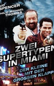 Zwei Supertypen in Miami: Der Kleine mit der großen Klappe