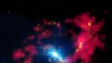 XRISM Spacecraft Detects Iron Signatures in Nearby Active Galaxy