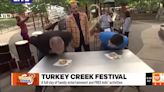 Turkey Creek Festival at Antioch Park