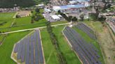 Alpina se abastecerá de energías renovables con nueva granja solar