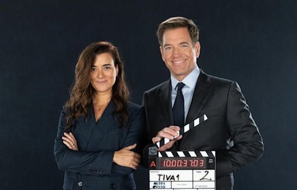 NCIS: Tony and Ziva: Everything About the NCIS Spinoff