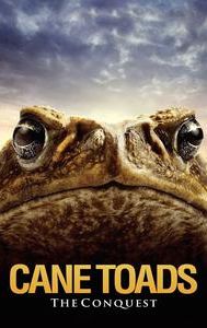 Cane Toads: The Conquest