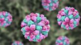 What Are the Symptoms of Norovirus and How Long Do They Last?