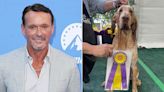 Tim McGraw Reveals His Bracco Italiano, Lepshi, Won Best of Breed at Westminster Dog Show