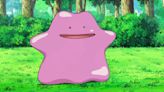 Pokemon Sleep reveals sleep-related facts about Ditto, Doduo, and others