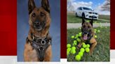 ISP Pendleton District K-9 retires after seven years of service