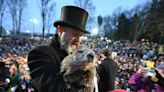 His new shadows: Punxsutawney Phil is a dad to twins
