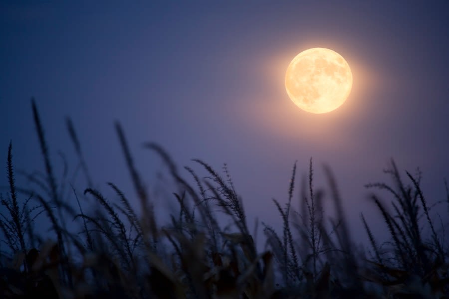 Kentucky’s sky lights up: Celestial trifecta awaits the moon