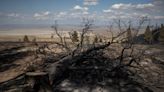 Buffett's PacifiCorp suspected of collusion by wildfire victims' law firms