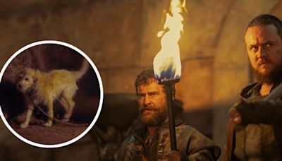 Actores de 'Sangre' y 'Queso' hablan del perrito, la 'estrella' en el estreno de 'House of the Dragon 2'