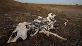 The times it never rained: 3 devastating historic Texas droughts