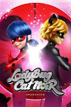 Ladybug & Cat Noir Awakening