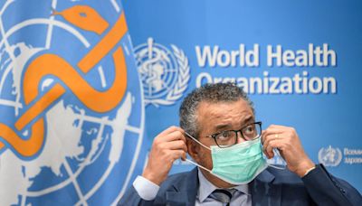 Pandemic treaty talks in Geneva get one final big push