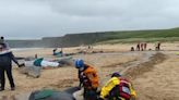 Gaelic lullabies and ‘bodies everywhere’: How the UK’s deadliest whale stranding in decades unfolded