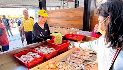 （台中）大甲松柏漁港 生鱻市集熱鬧開市