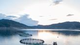 Simmons Reels in Salmon Price-Fixing Class Action Mandate | Law.com International