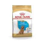 ROYAL CANIN法國皇家-貴賓幼犬(PDP) 3kg(購買第二件贈送寵物零食x1包)