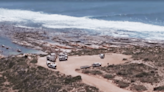 Surfer's body missing after suspected fatal shark attack in South Australia