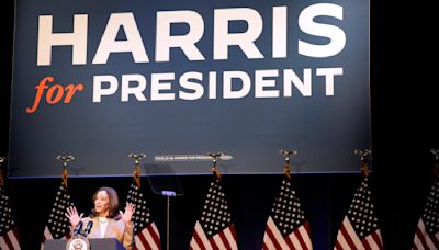 'White Dudes for Harris' is the latest in a series of Zoom gatherings backing the vice president