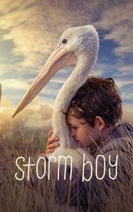 Storm Boy