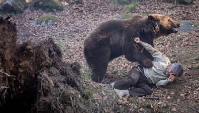 Thought The Revenant’s bear attack scene was bad? An upcoming thriller is using a real grizzly in the movie