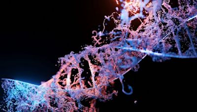 La técnica genética de la longevidad: un investigador asegura haber encontrado el secreto en nuestro ADN para vivir más años