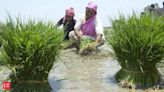 After Telangana's Rs 31,000 cr farm loan waiver, Punjab farmers reiterate similar demand