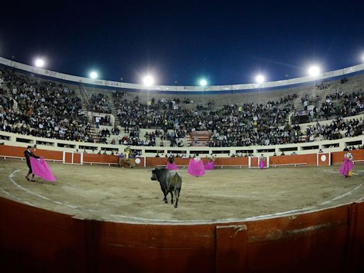 Suspenden de manera provisional corridas de toros | El Universal