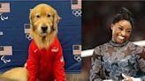 París 2024: Beacon, el perro del equipo de Gimnasia de Estados Unidos que ayuda a Simone Biles