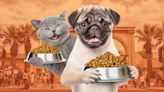 How Striking Writers and Actors Can Secure Free Pet Food