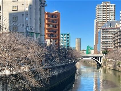 日本房市不斷看漲 連馬雲旗下雲峰基金也準備進軍