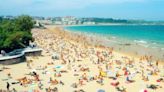 El nuevo contrato de playas de Santander incluye habilitar zonas para perros