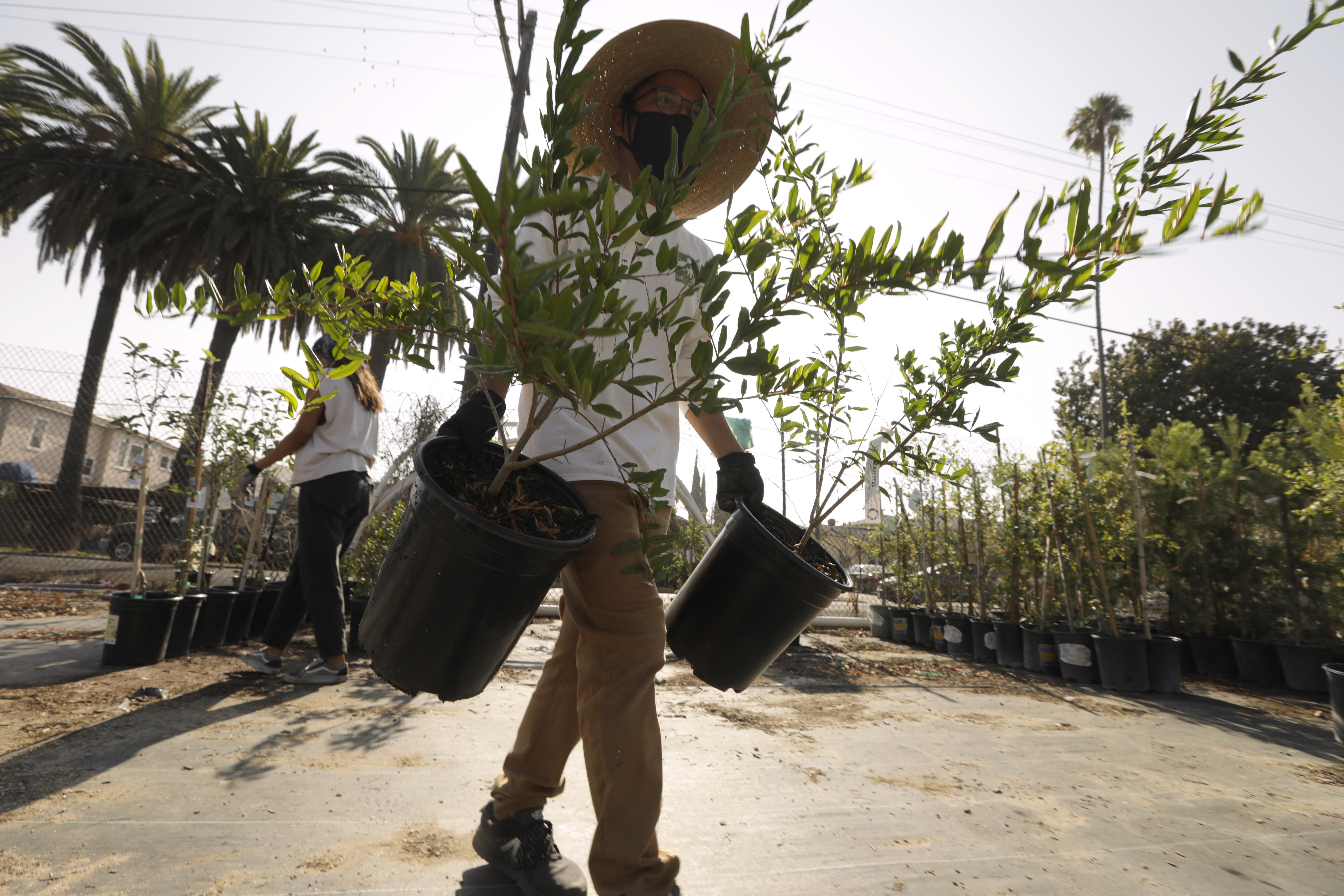 California wants to harness more than half its land to combat climate change by 2045. Here's how