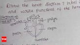 Student's heart diagram in exam is getting viral: Here’s what it holds! | - Times of India