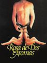 Rosa de dos aromas