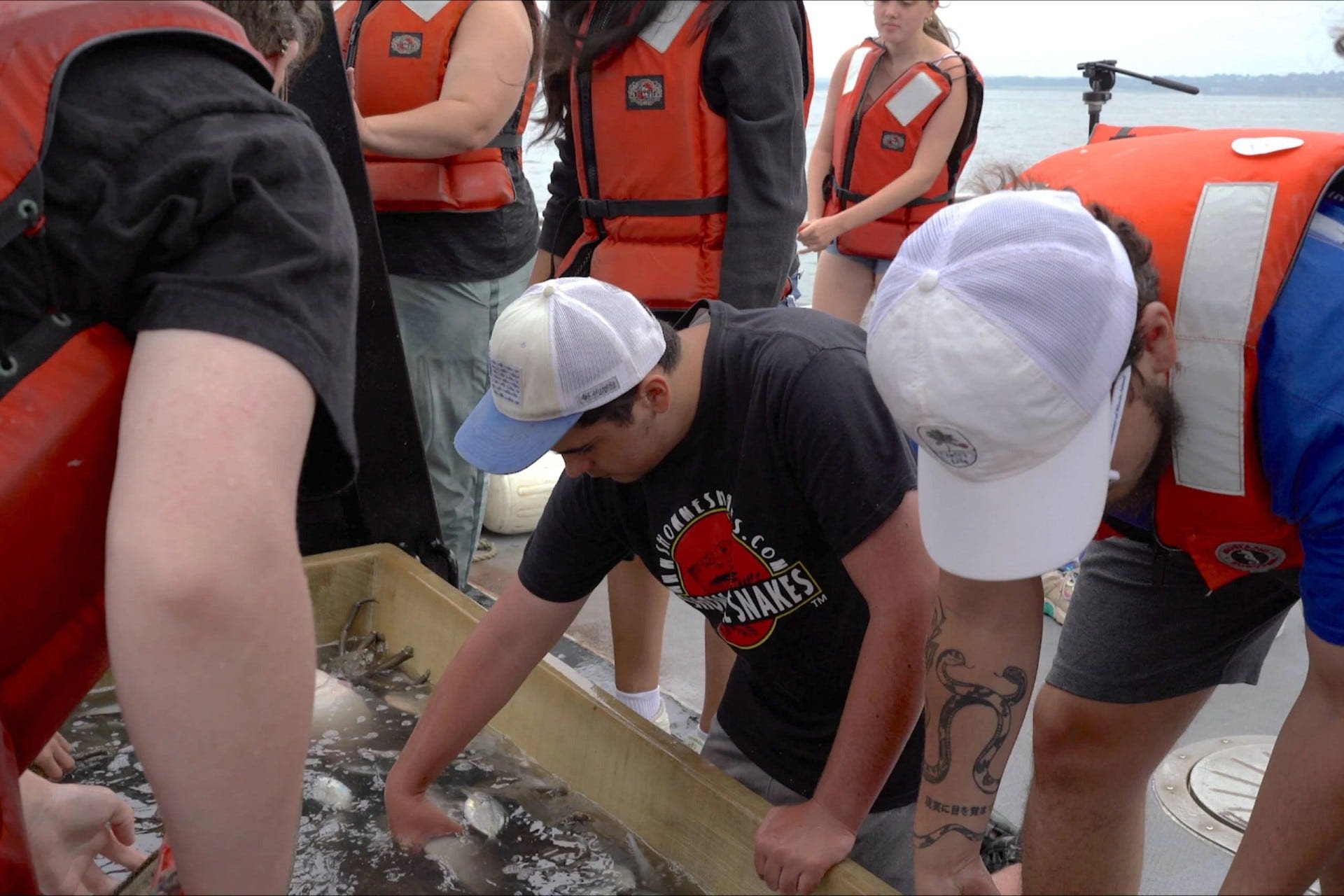 Know a teen that loves sharks? Check out URI's Shark Camp while there's still time.