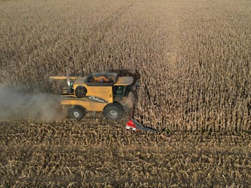 Argentina has surplus harvest, but farmers want more from Milei