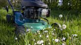 Gardeners 'banned' from mowing lawns until July date after expert's warning