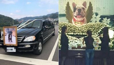 情同家人！愛犬過世主人出動「加長靈車」 豪華告別式還掛遺照