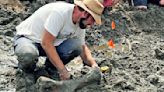 Construction Crews Discover 12,000-Year-Old Mastodon Skeleton in Michigan: 'Just Blew Us Away'