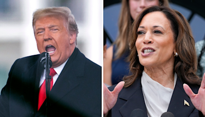 Donald Trump has a new nickname for Kamala Harris