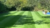 Man shares his six-step method to get the perfect lawn in time for summer