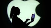 Apple seeks Steam developer's documents to fight consumer lawsuit