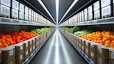 Improved Refrigeration Could Reduce Global Food Waste by 41%, Study Finds - EcoWatch