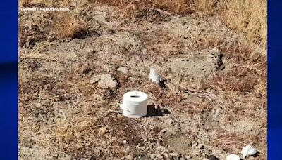 Messy problem: Used toilet paper found in Yosemite National Park near Rancheria Falls