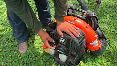 Gas-powered leaf blowers sales banned in Montgomery County beginning July